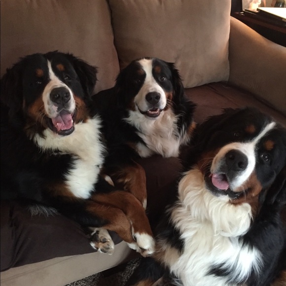 Meet your Posher, Jill - Picture 1 of 4